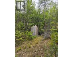 180 Lower Arrow Lake, Castlegar, BC V1N4V8 Photo 15
