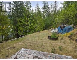 180 Lower Arrow Lake, Castlegar, BC V1N4V8 Photo 21
