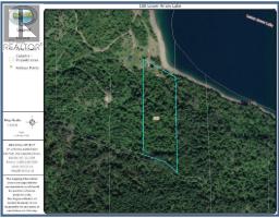 180 Lower Arrow Lake, Castlegar, BC V1N4V8 Photo 7