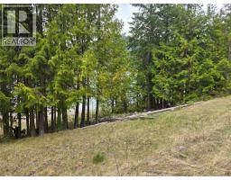 180 Lower Arrow Lake, Castlegar, BC V1N4V8 Photo 8