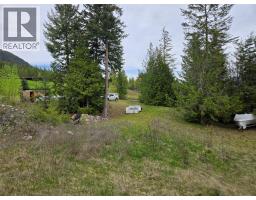 180 Lower Arrow Lake, Castlegar, BC V1N4V8 Photo 9