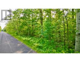 Pt Lt 27 Con 1 Ebr Pt 2 Barney's Boulevard, Northern Bruce Peninsula, ON N0H1Z0 Photo 10