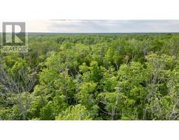 Pt Lt 27 Con 1 Ebr Pt 2 Barney's Boulevard, Northern Bruce Peninsula, ON N0H1Z0 Photo 11