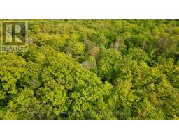 Pt Lt 27 Con 1 Ebr Pt 2 Barney's Boulevard, Northern Bruce Peninsula, ON N0H1Z0 Photo 15