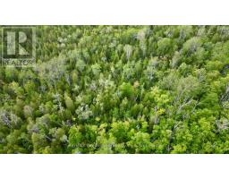 Pt Lt 27 Con 1 Ebr Pt 2 Barney's Boulevard, Northern Bruce Peninsula, ON N0H1Z0 Photo 25