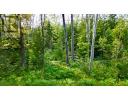 Pt Lt 27 Con 1 Ebr Pt 2 Barney's Boulevard, Northern Bruce Peninsula, ON N0H1Z0 Photo 29