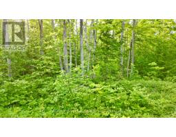 Pt Lt 27 Con 1 Ebr Pt 2 Barney's Boulevard, Northern Bruce Peninsula, ON N0H1Z0 Photo 6