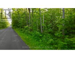 Pt Lt 27 Con 1 Ebr Pt 2 Barney's Boulevard, Northern Bruce Peninsula, ON N0H1Z0 Photo 7