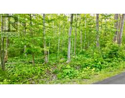 Pt Lt 27 Con 1 Ebr Pt 2 Barney's Boulevard, Northern Bruce Peninsula, ON N0H1Z0 Photo 8