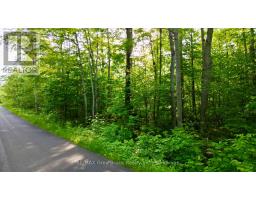 Pt Lt 27 Con 1 Ebr Pt 2 Barney's Boulevard, Northern Bruce Peninsula, ON N0H1Z0 Photo 9