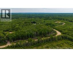 Lot Village-des-cormier Road, Gladeside, NB E4T3G7 Photo 10