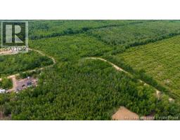 Lot Village-des-cormier Road, Gladeside, NB E4T3G7 Photo 11