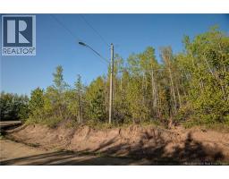 Lot Village-des-cormier Road, Gladeside, NB E4T3G7 Photo 19