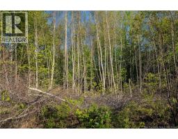 Lot Village-des-cormier Road, Gladeside, NB E4T3G7 Photo 17