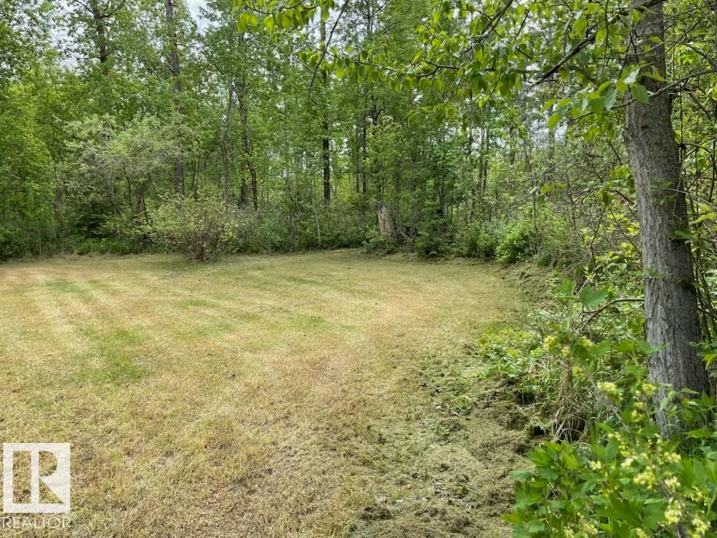 315 23229 SH 651 - Photo 6
