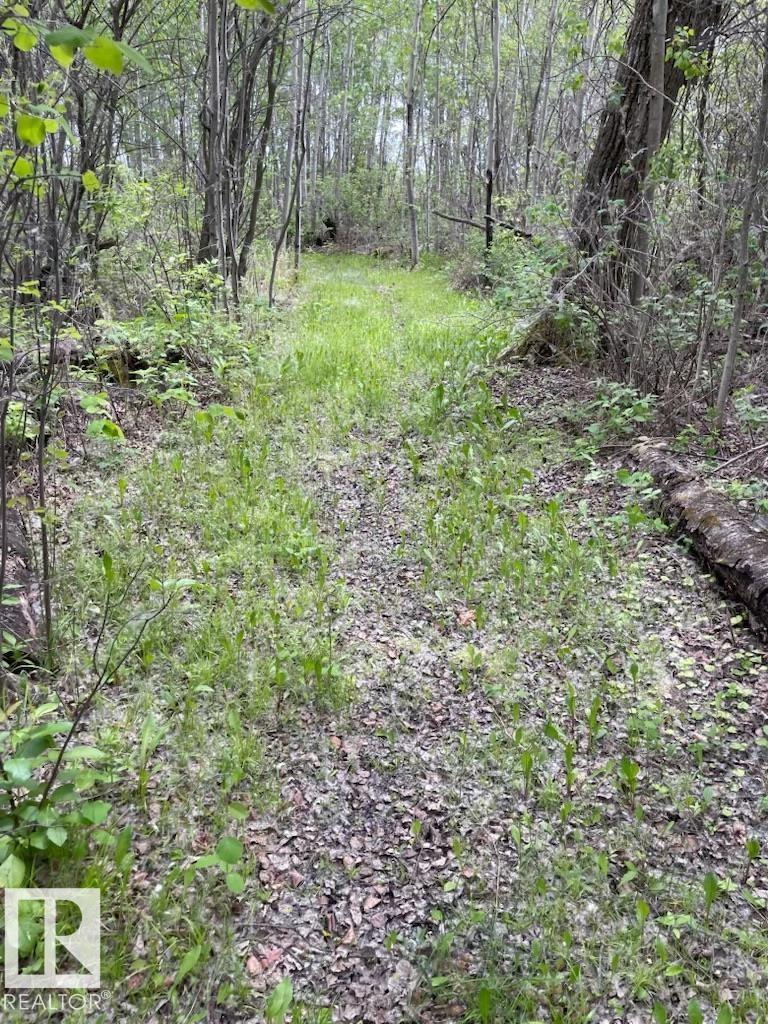 315 23229 SH 651 - Photo 17