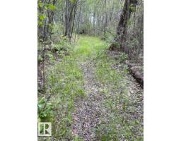 #315 23229 Sh 651, Rural Sturgeon County, AB T0A1N6 Photo 17