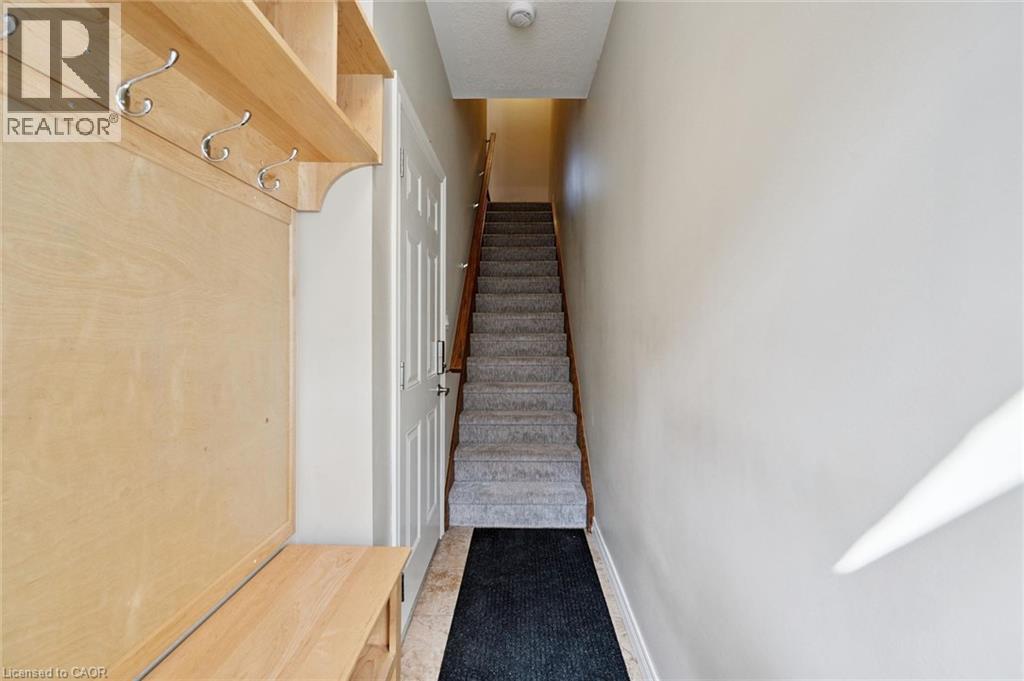 4 CHELTENHAM Mews - Image 4
