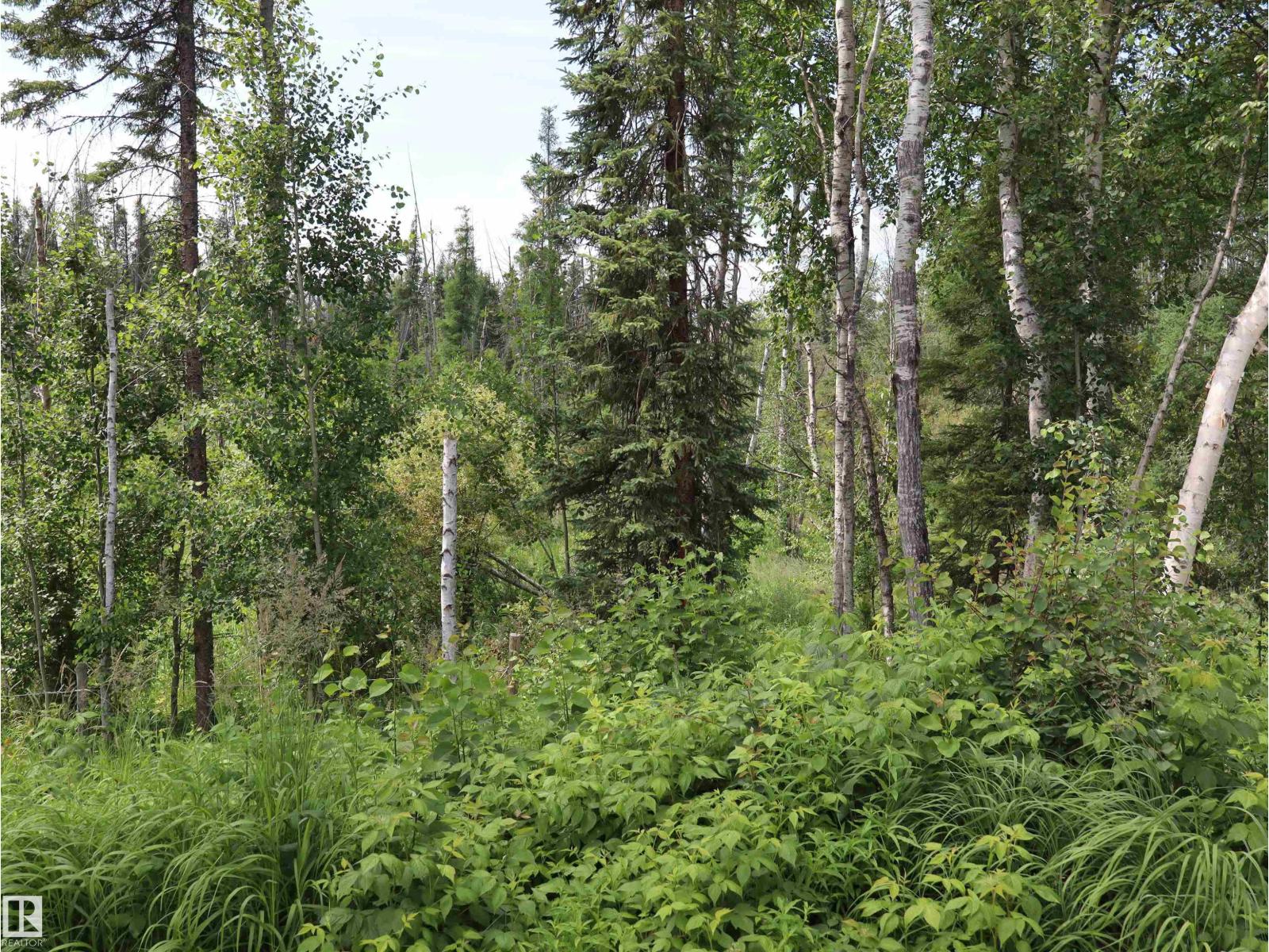 60520 Rge Rd 62A - 6