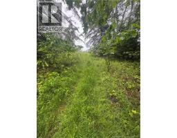 000 Morrow Road, French Lake, NB E2V0O0 Photo 18
