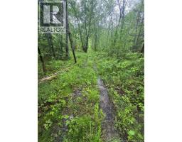 000 Morrow Road, French Lake, NB E2V0O0 Photo 19