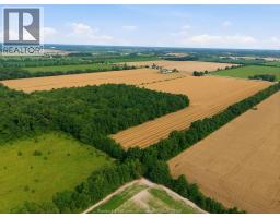 7919 County Road 18 W, Essex, ON N0R1B0 Photo 7