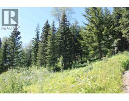 7134 Grossett Road, Bridge Lake, BC V0K1X2 Photo 33
