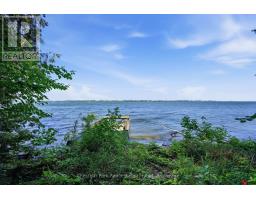 1979 County Road 7, Prince Edward County, ON K0K2T0 Photo 43