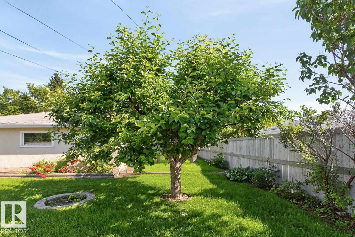 11820 132 AV NW - 40