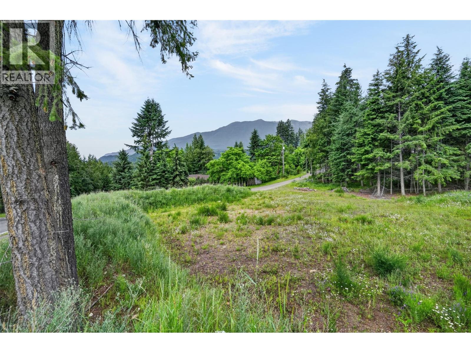 PCL A HILLSIDE Avenue, Kaslo