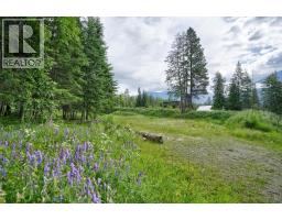 Pcl A Hillside Avenue, Kaslo, BC V0G1M0 Photo 10