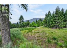 Pcl A Hillside Avenue, Kaslo, BC V0G1M0 Photo 11