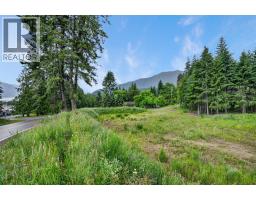 Pcl A Hillside Avenue, Kaslo, BC V0G1M0 Photo 12