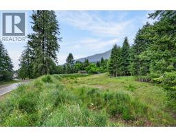 Pcl A Hillside Avenue, Kaslo, BC V0G1M0 Photo 13