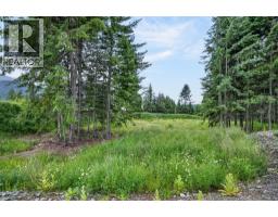 Pcl A Hillside Avenue, Kaslo, BC V0G1M0 Photo 14