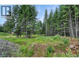 Pcl A Hillside Avenue, Kaslo, BC V0G1M0 Photo 15