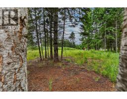 Pcl A Hillside Avenue, Kaslo, BC V0G1M0 Photo 16