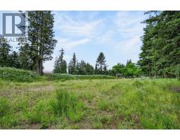 Pcl A Hillside Avenue, Kaslo, BC V0G1M0 Photo 17