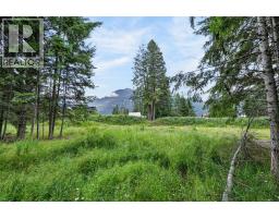 Pcl A Hillside Avenue, Kaslo, BC V0G1M0 Photo 18