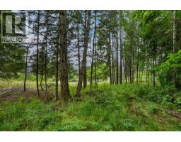 Pcl A Hillside Avenue, Kaslo, BC V0G1M0 Photo 19