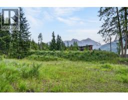 Pcl A Hillside Avenue, Kaslo, BC V0G1M0 Photo 20