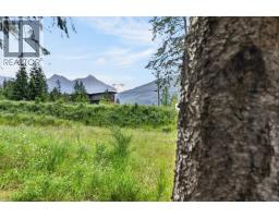 Pcl A Hillside Avenue, Kaslo, BC V0G1M0 Photo 21