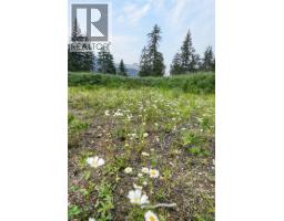 Pcl A Hillside Avenue, Kaslo, BC V0G1M0 Photo 22