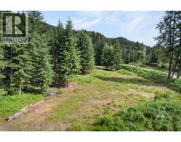 Pcl A Hillside Avenue, Kaslo, BC V0G1M0 Photo 24