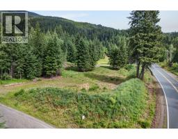 Pcl A Hillside Avenue, Kaslo, BC V0G1M0 Photo 25