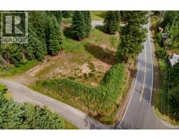 Pcl A Hillside Avenue, Kaslo, BC V0G1M0 Photo 31