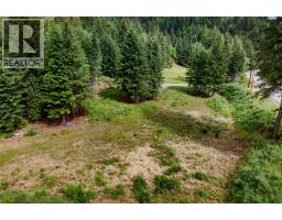 Pcl A Hillside Avenue, Kaslo, BC V0G1M0 Photo 32