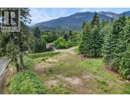 Pcl A Hillside Avenue, Kaslo, BC V0G1M0 Photo 33