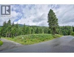 Pcl A Hillside Avenue, Kaslo, BC V0G1M0 Photo 9