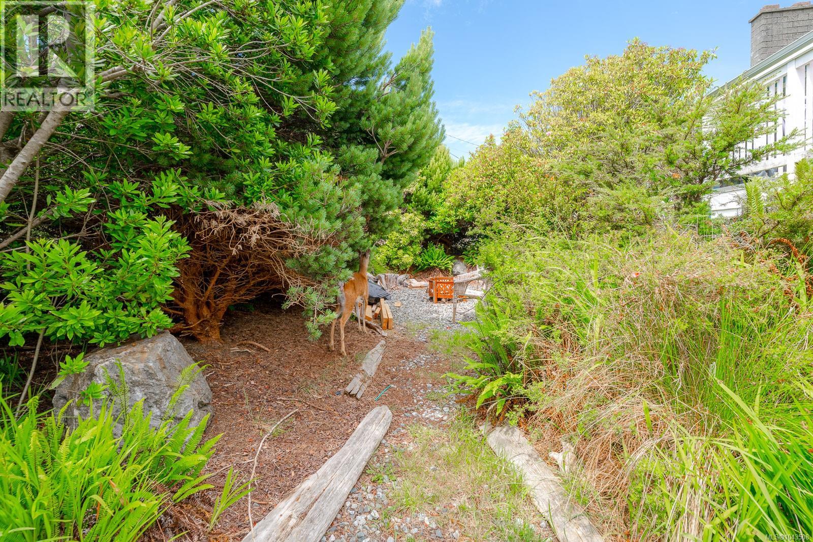 1323 Helen St - 49
